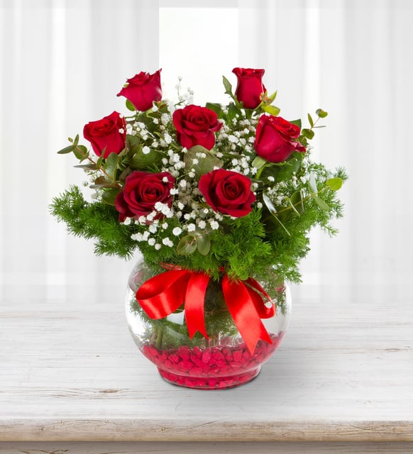 Fanusta 7  kırmızı gül