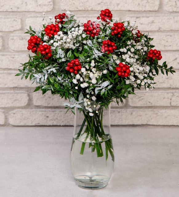 Vazoda kokina arajmanı